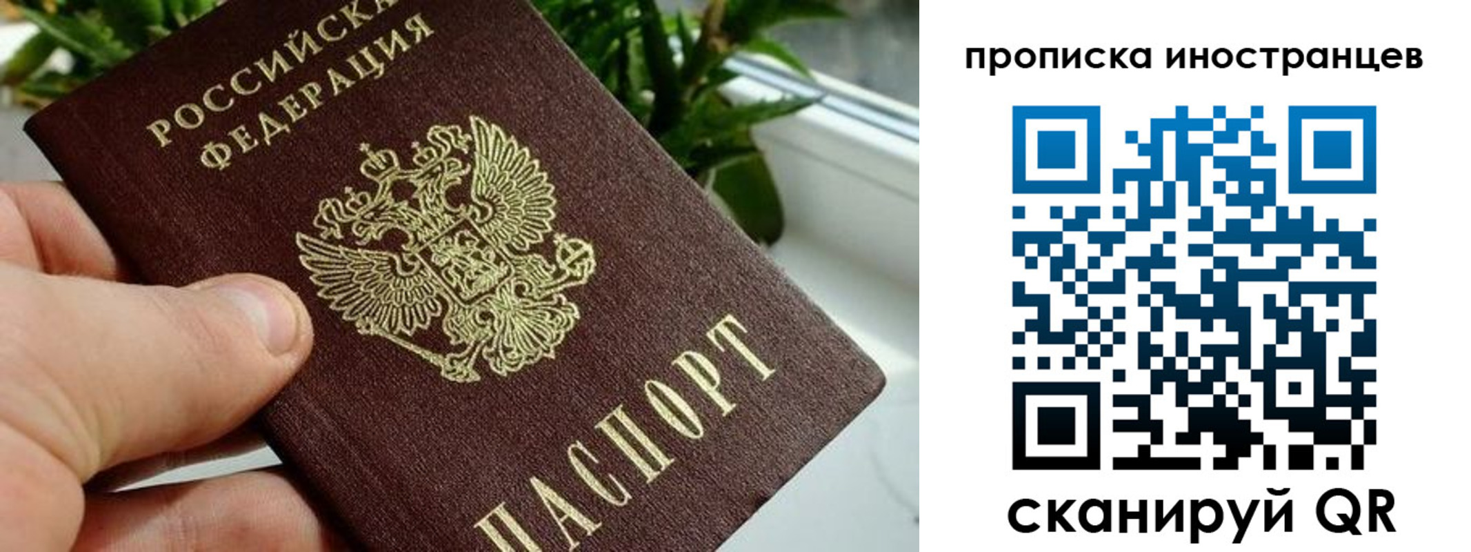 временная регистрация в Сельцо